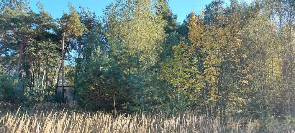 Działki 2,09 ha zabudowa mieszkaniowa i usługowa KOLONIA ZAWADY