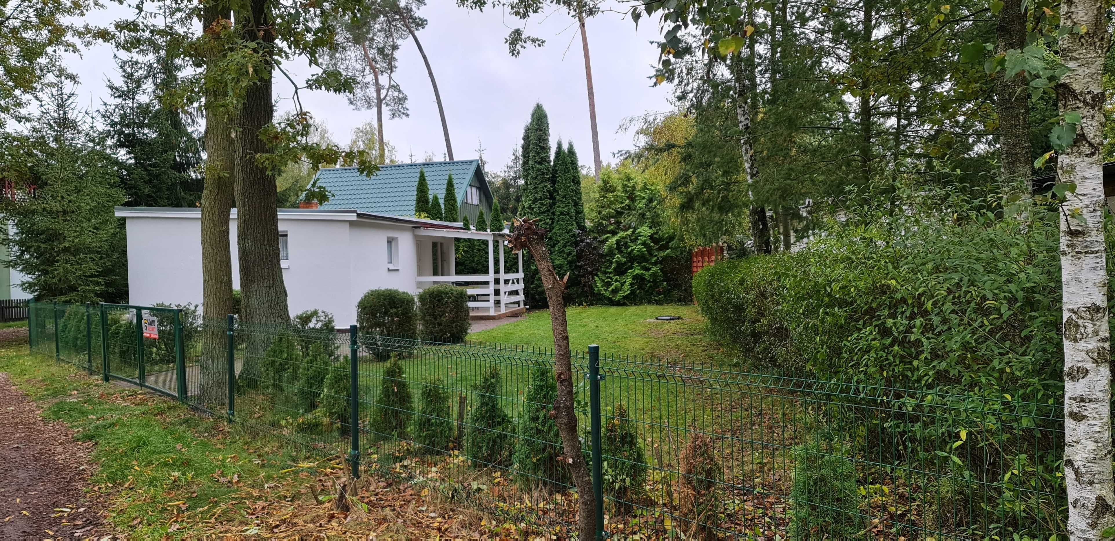 W Przyjezierzu wynajmę domek na 300 m2 ogrodzonej działce.