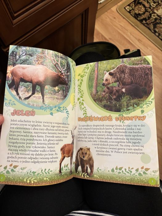 dziecięca biblioteczka - zwierzęta lasów i pól