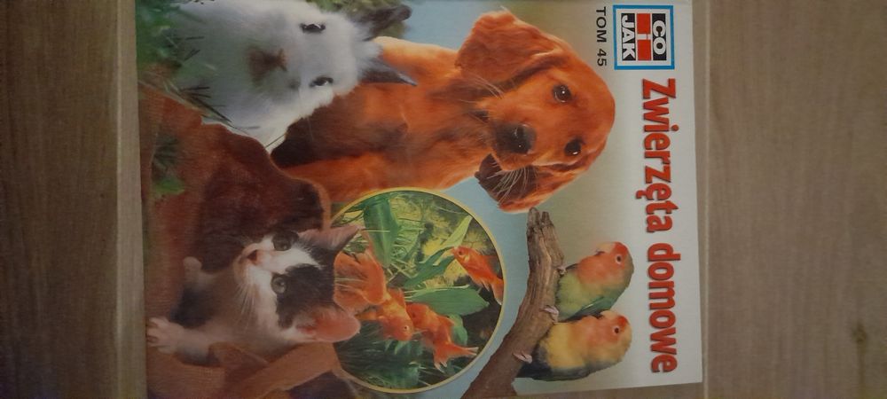Co I jak "Zwierzęta domowe "