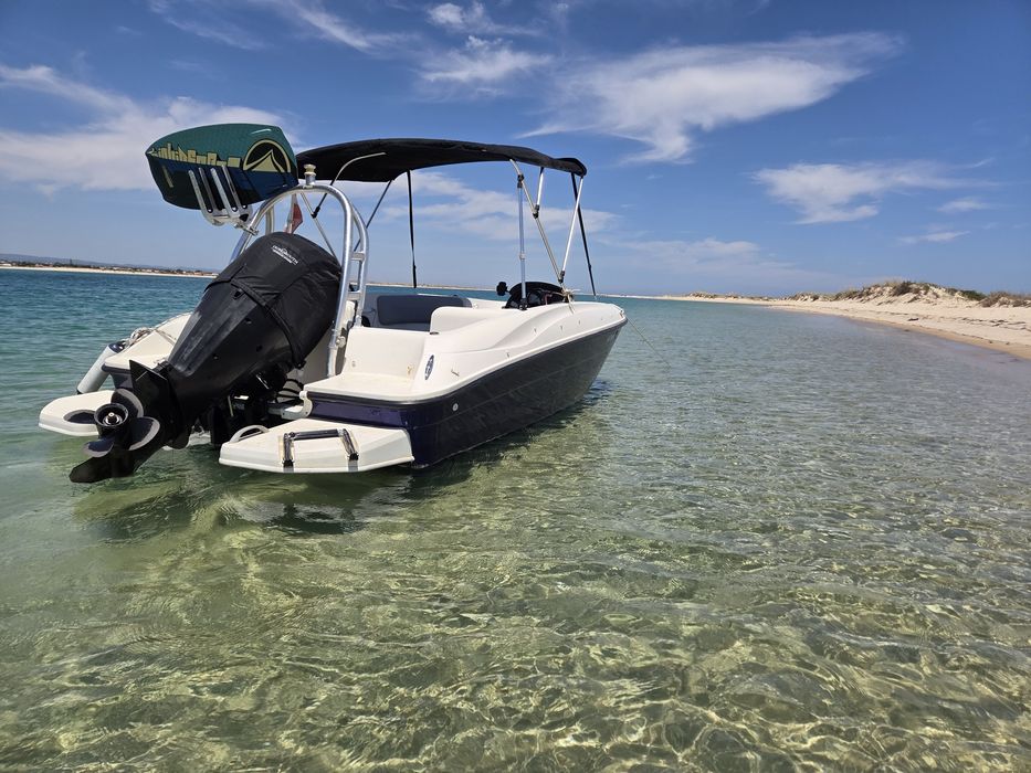 Bayliner e5 80cv 4.93m + trailer
