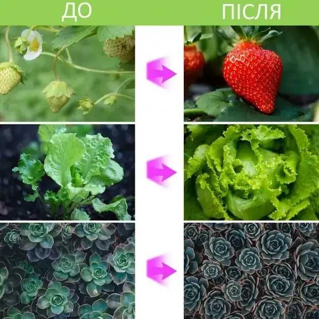 Фито лампа для роста растений на 4 светильника.