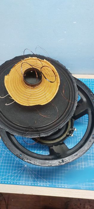 Naprawa Głośników Regeneracja Zawieszeń Wymiana Cewek Tonsil i Inne