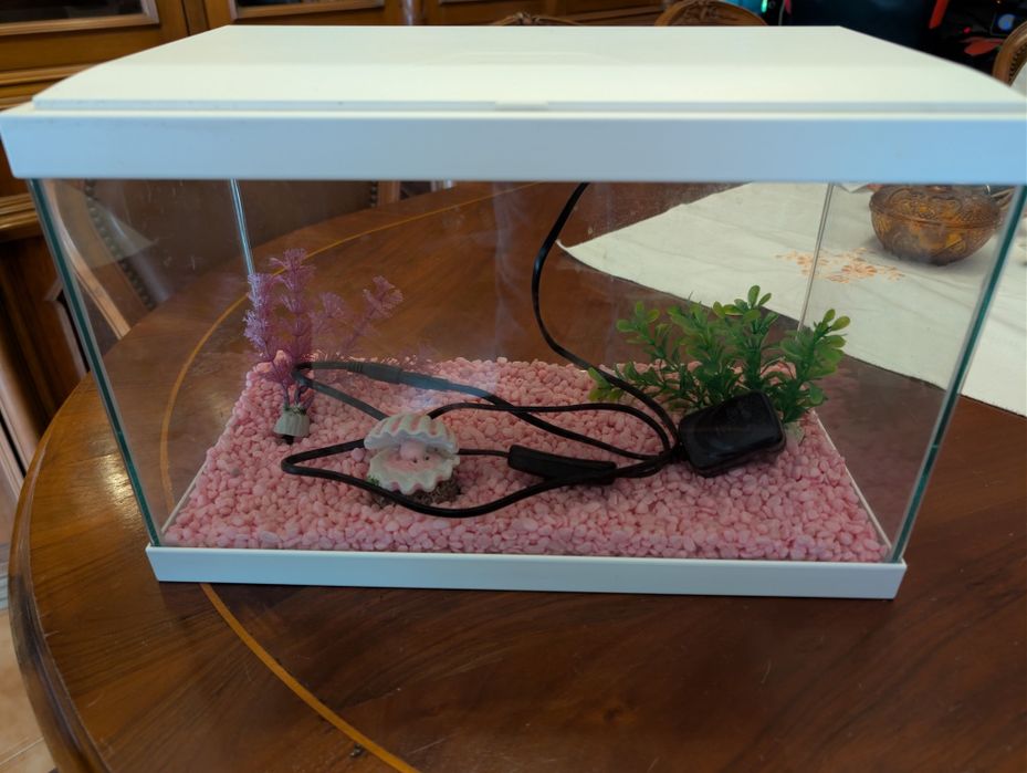 Aquário Peixes 30L