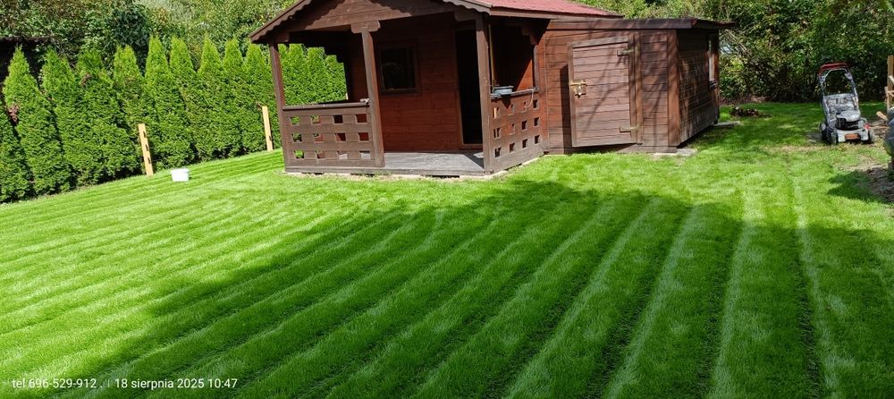 Zakładanie trawników