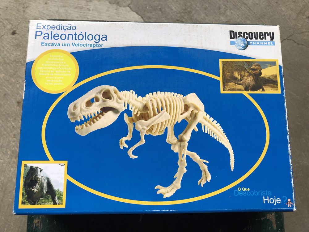 Kit Escavar um dinossauro Velocireptor