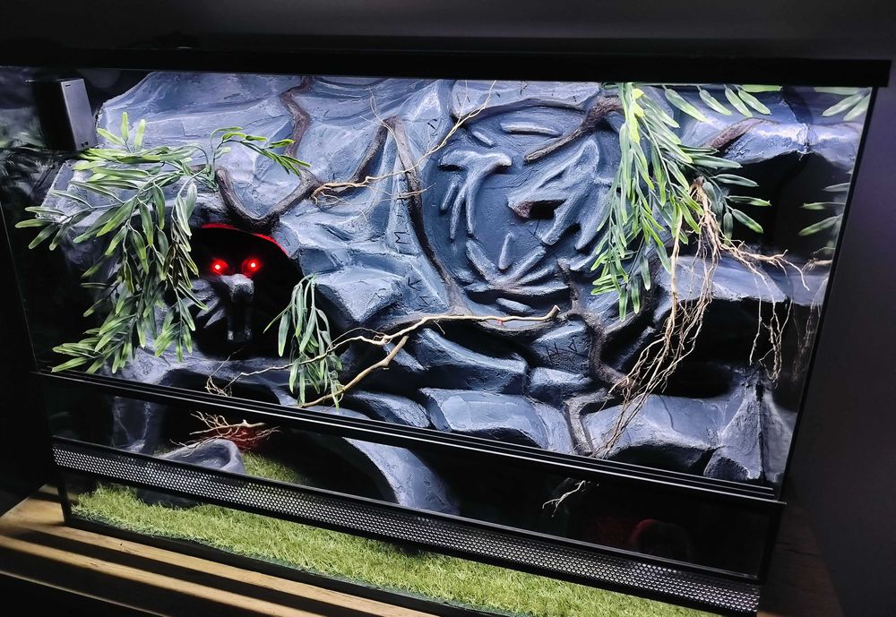 Terrarium dla fana mitologii słowiańskiej wilk gekona AquaWaves TW44MS