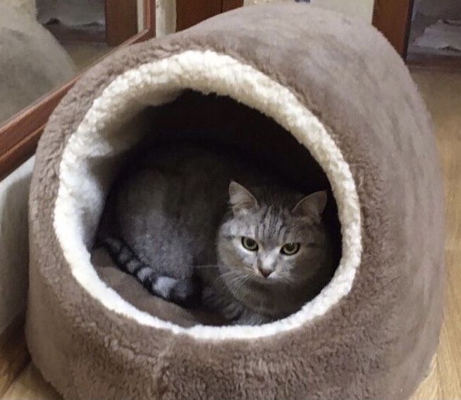 Тепла хутряна хатинка будиночок домик для котика собачки