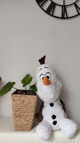Olaf,kraina lodu ,prezent , święta