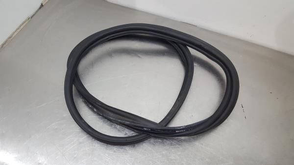 Borracha genérica RENAULT Laguna Coupé (DT0/1)