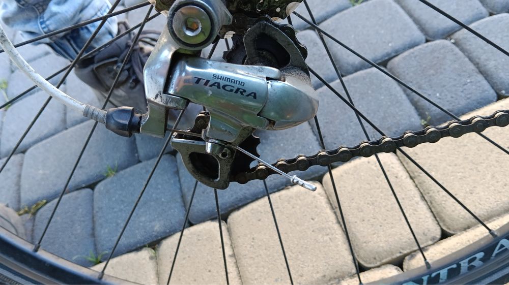 Rower kolażówka szosowy trek