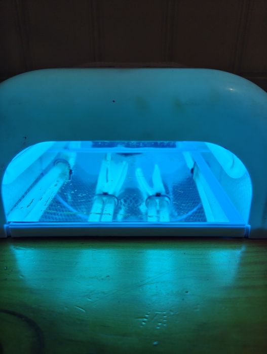 Forno de unhas led