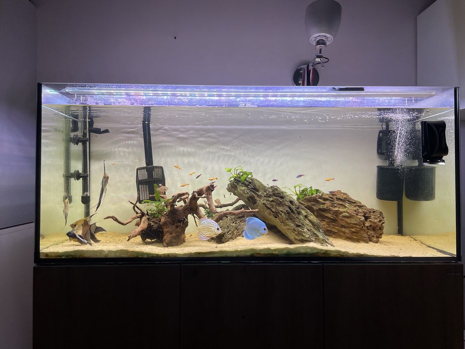 Akwarium 300l z szafką filtrem aquael ultramax 2000