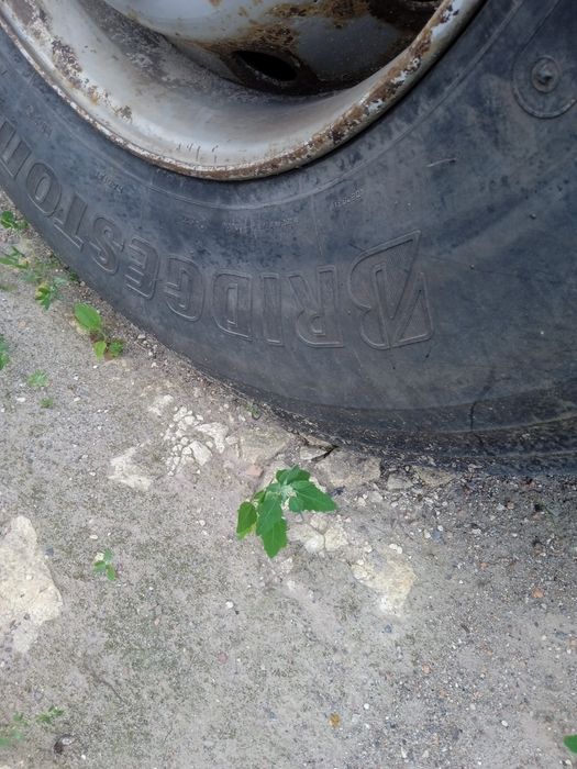 MAN F2000+TREYLOR комплект