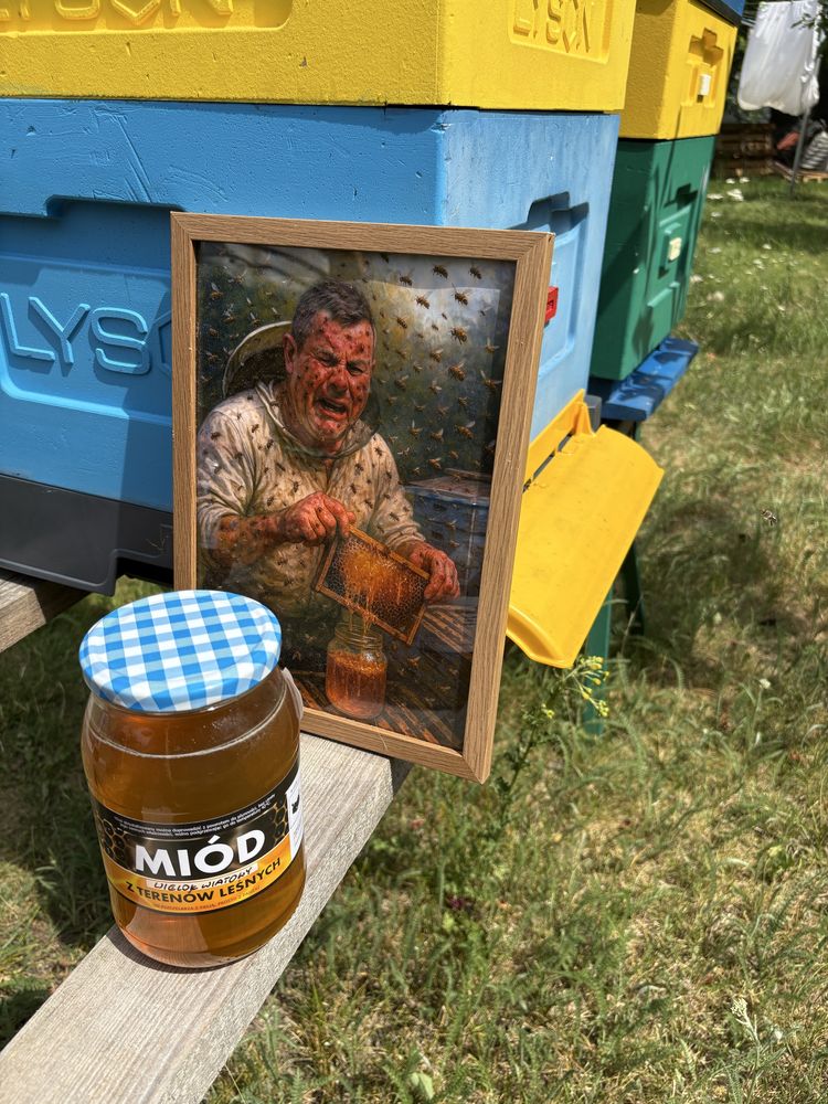 Miód - zbiory 2025 facelia, chaber, akacja, rzepak, z terenow lesnych