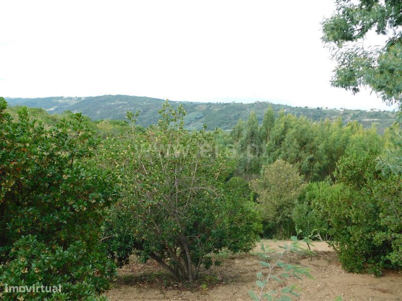 Terreno / Seia, Vila Cova à Coelheira