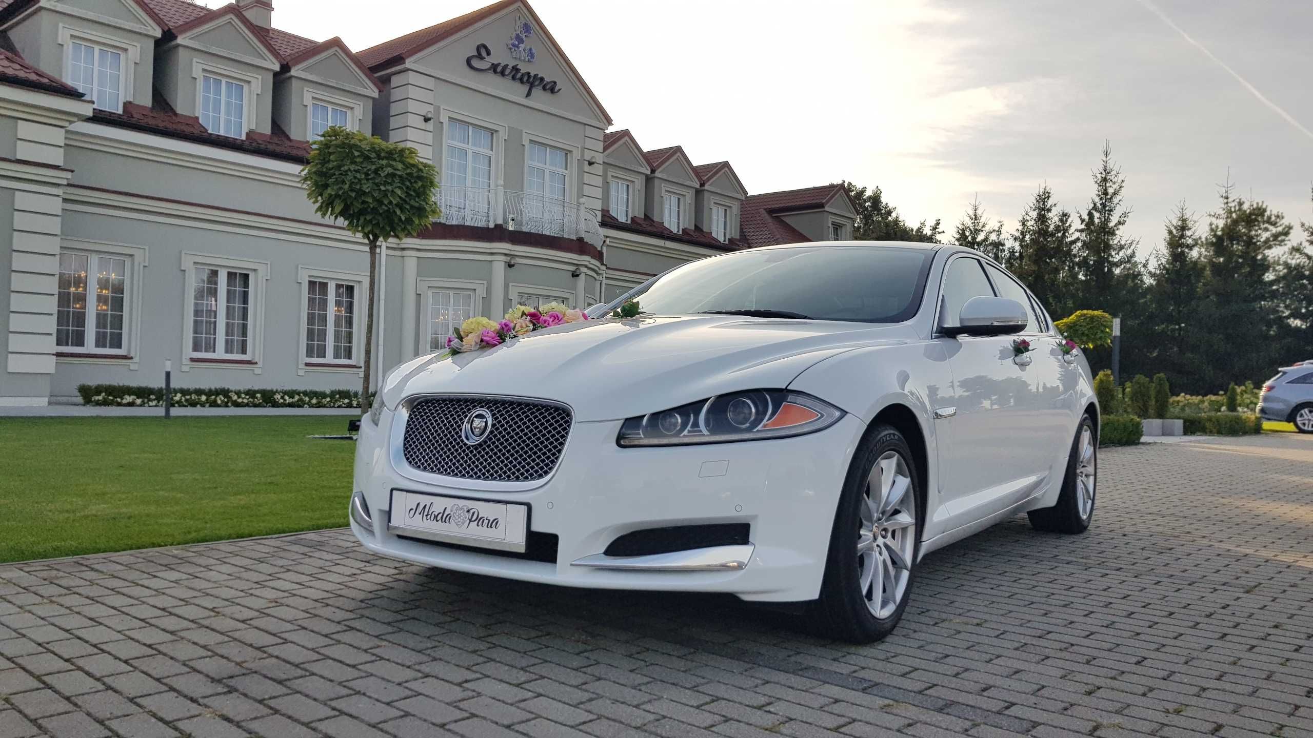 Auto Samochód do Ślubu JAGUAR XF WwaMińskGarwolinOtwockLegionowo