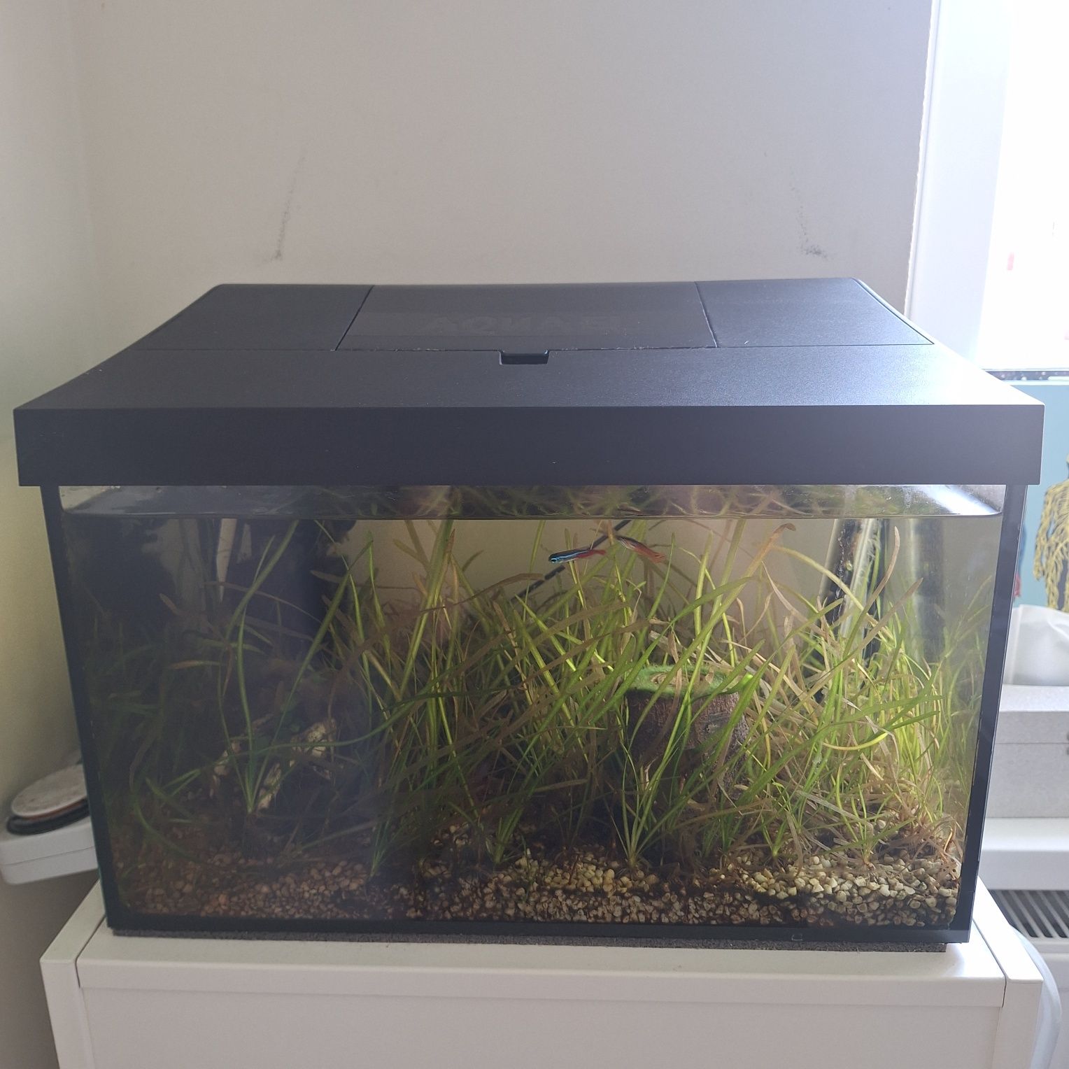Akwarium Aquael 25 l  oświetlenie led