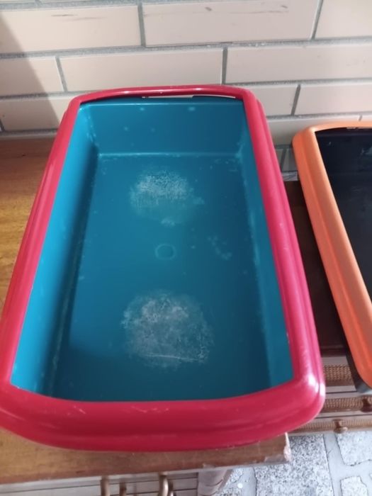 Acessorios de animal