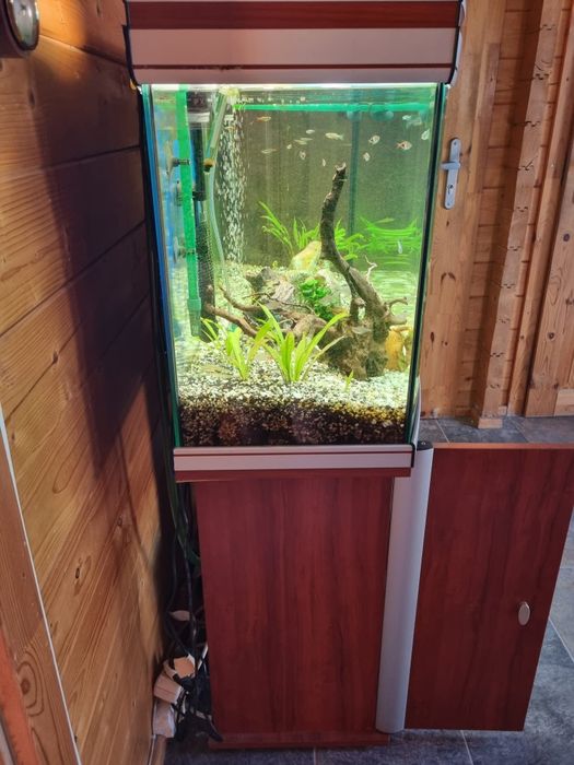 Aquário Aquatlantis 200l + Filtro Externo EHEIM 250