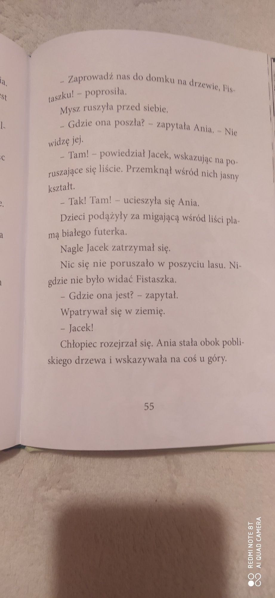 Książka Magiczny domek na drzewie  7 zł