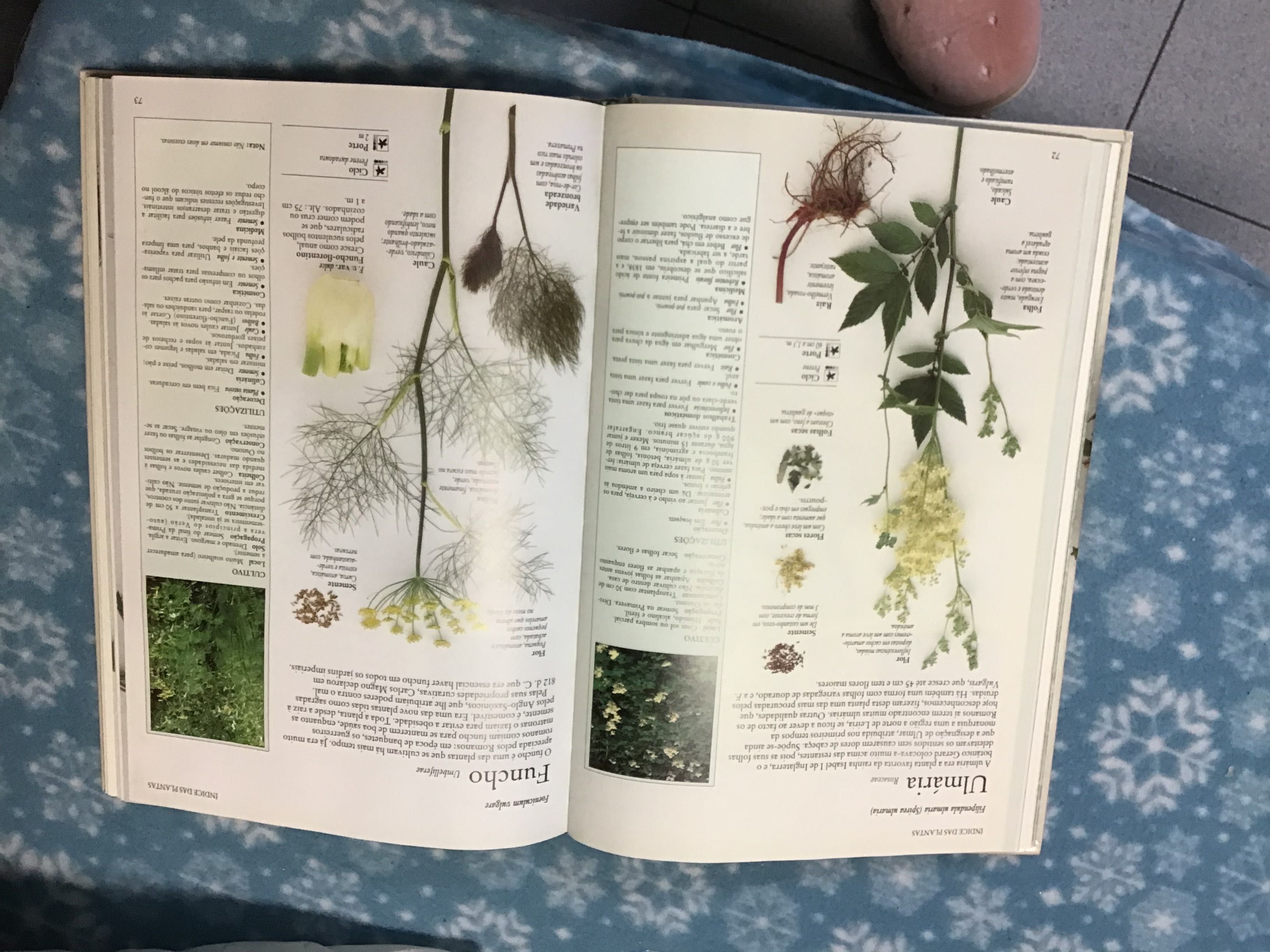 “O grande livro das plantas úteis “ usado mas em muito bom estado