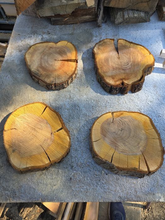 Plastry drewniane dębowe