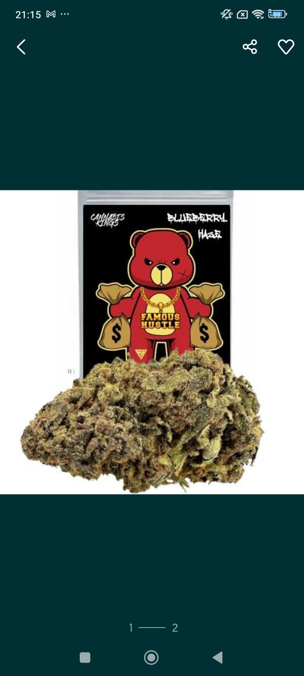 50 g cbd susz amnesia plus 5g hasz cbd