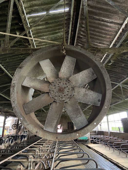 Ventoinha para vacaria