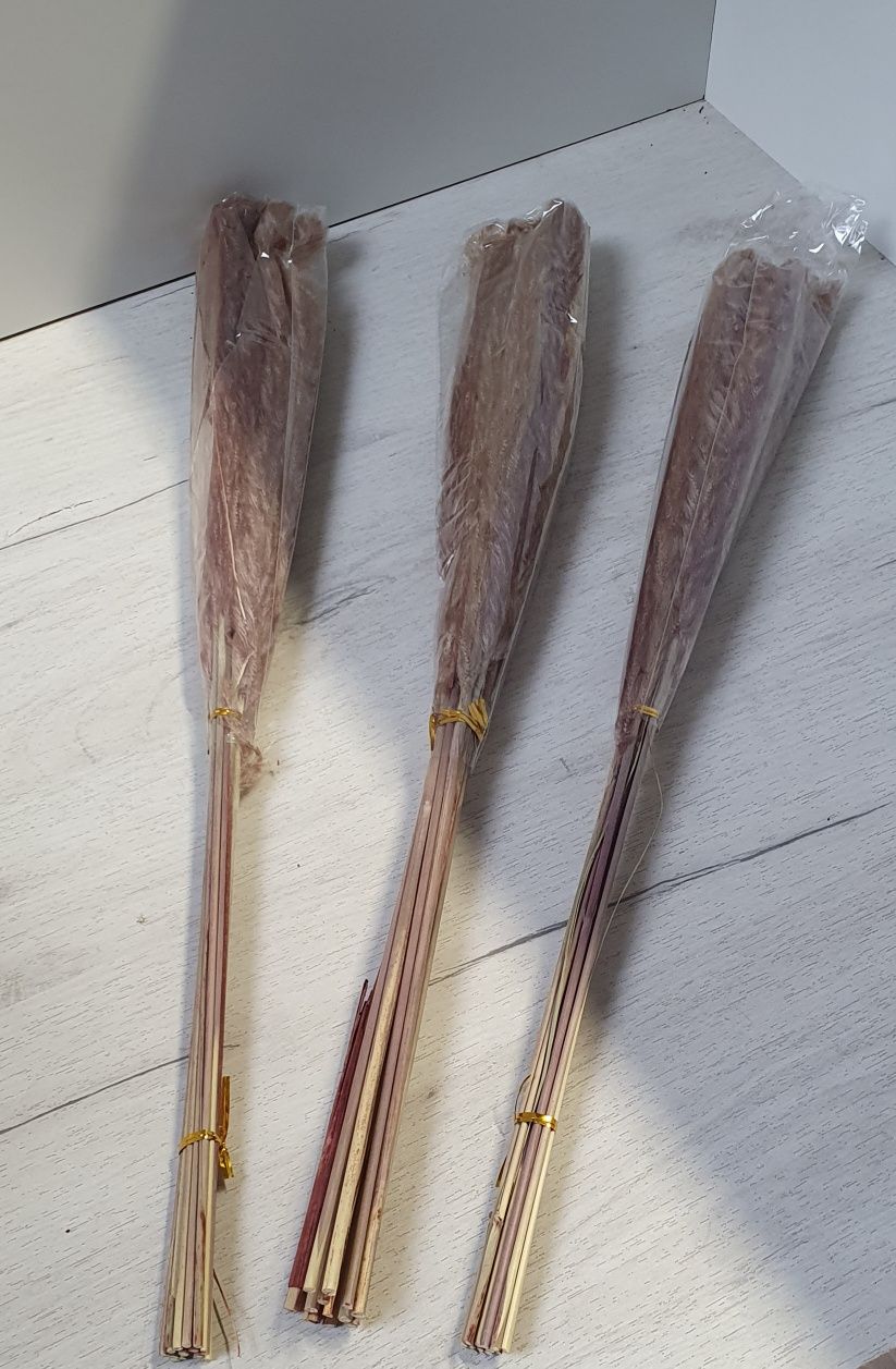 Trawa pampasowa brązowa 45 sztuk, 60 cm