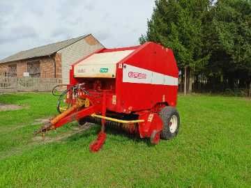 Sprzedam prase Sipma 276/1