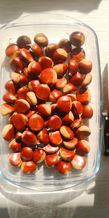 Castanhas produção 2025