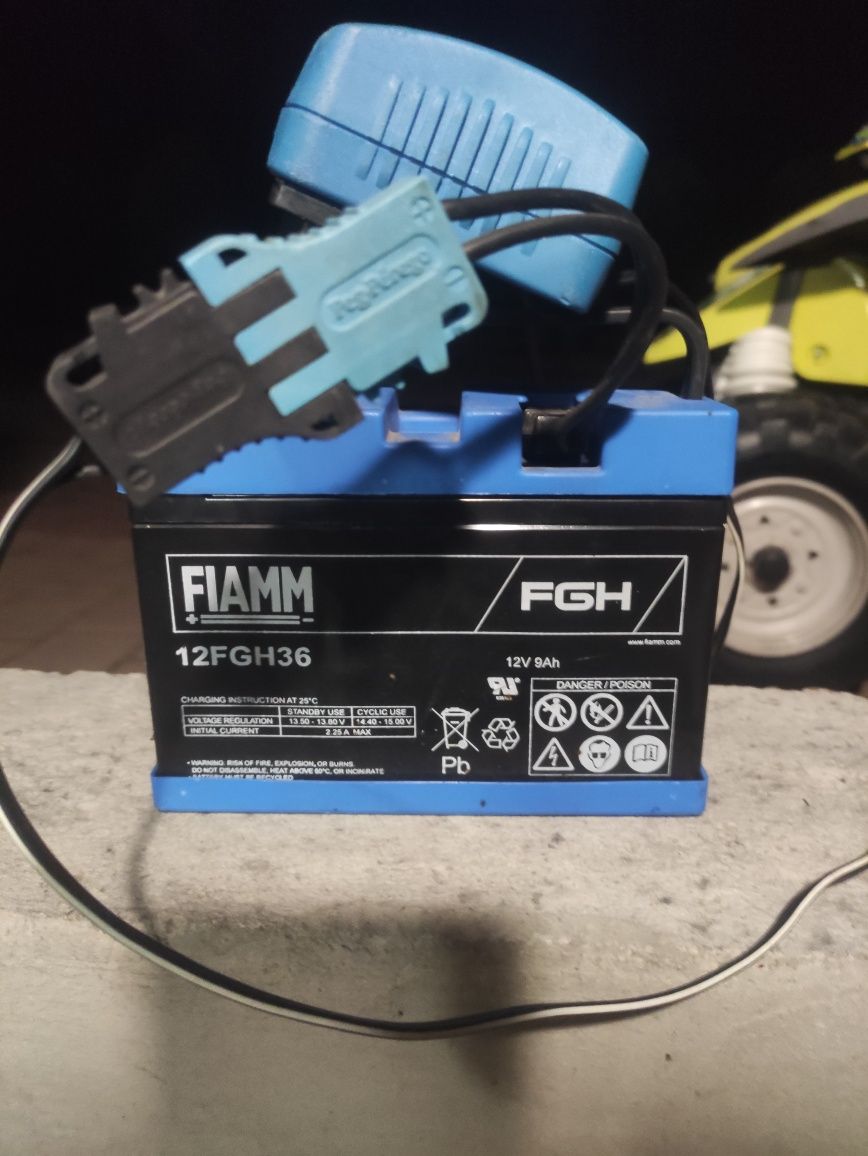 Quad Peg Pereggio Polaris