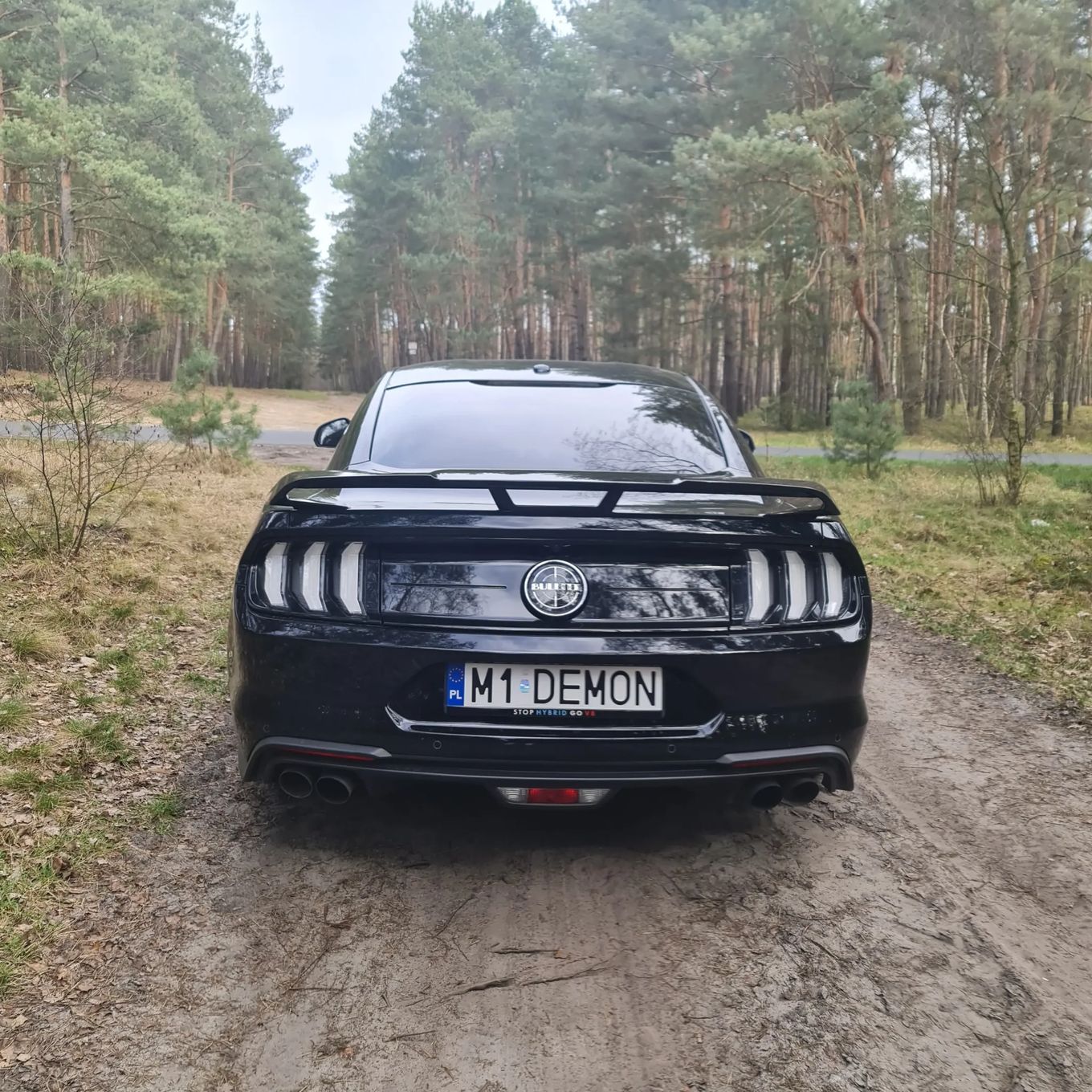 Ford Mustang Bullitt Stan kolekcjonerski full ppf recaro manual 2kpl kol lato/zima