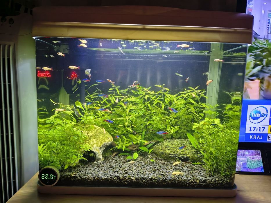 Designerskie oryginalne białe akwarium profilowane 50L LED INVITAL!