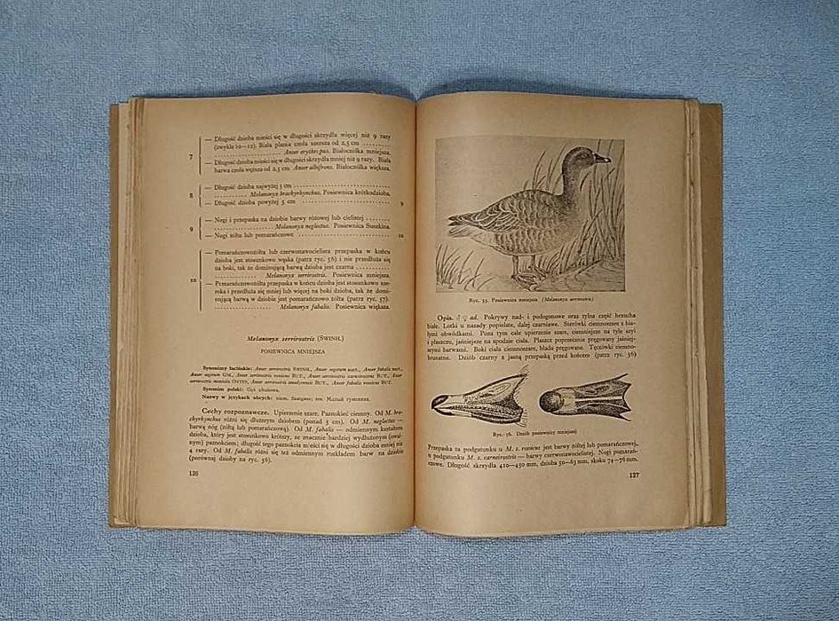 Ornitologia Łowiecka (ptaki łowne Europy) 2 tomy