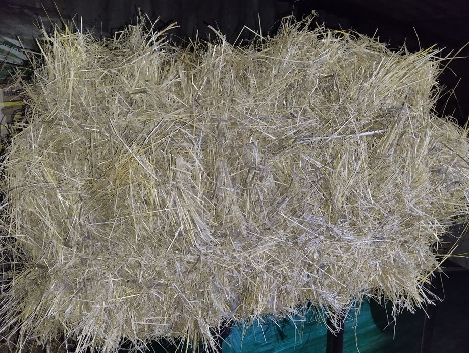 Продам сено в тюках