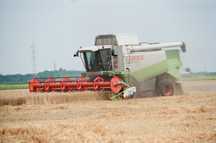 Claas lexion 460 Stół do rzepaku przystawka kukurydzy