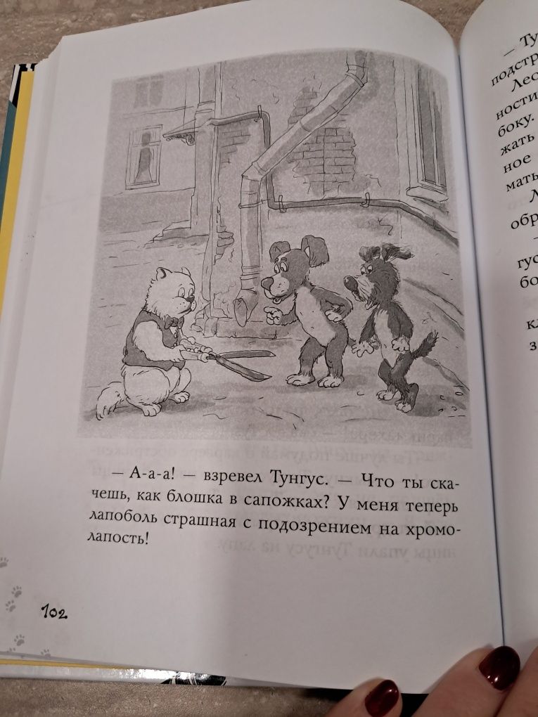 Привет от котлет