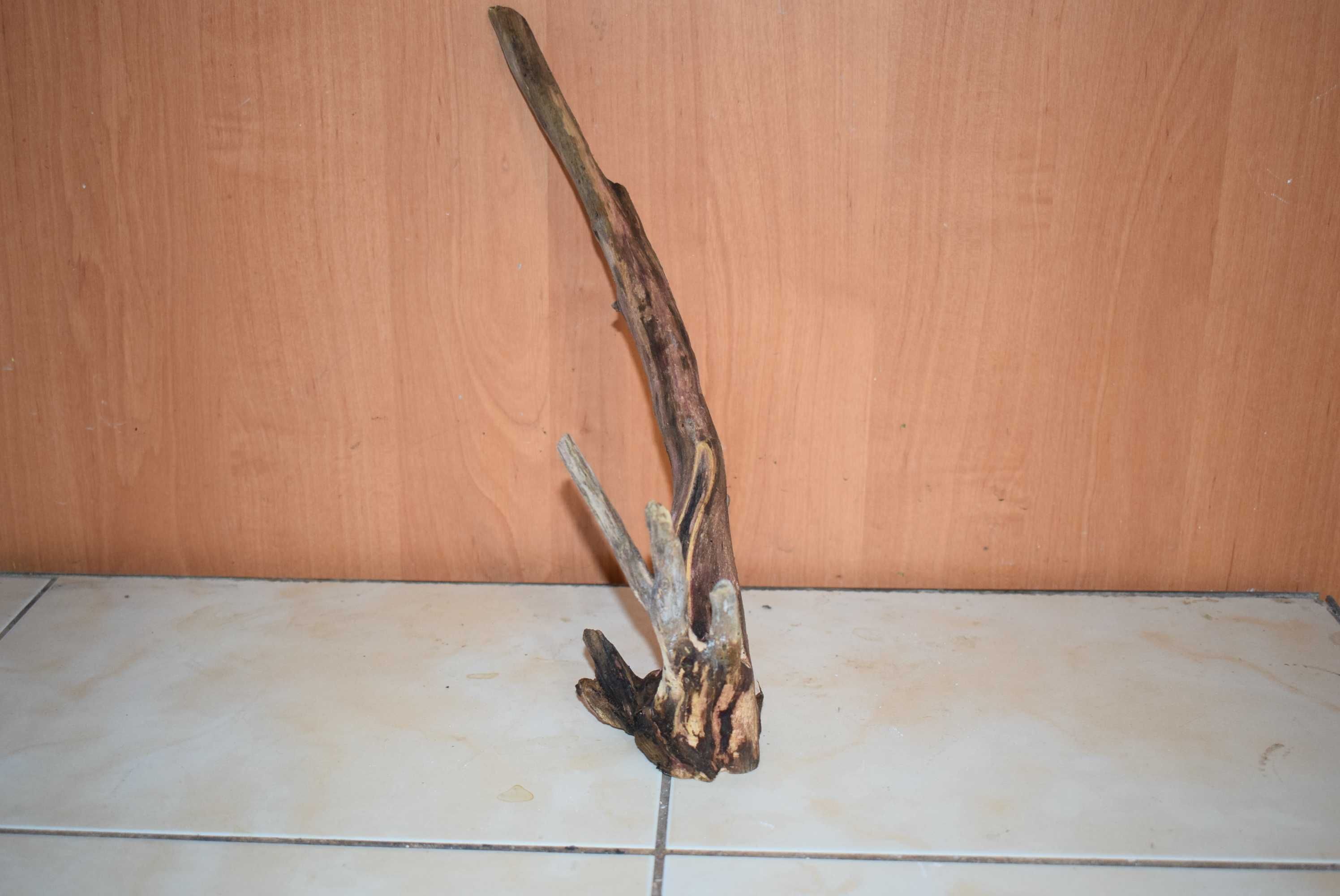 Korzeń do akwarium-33 cm