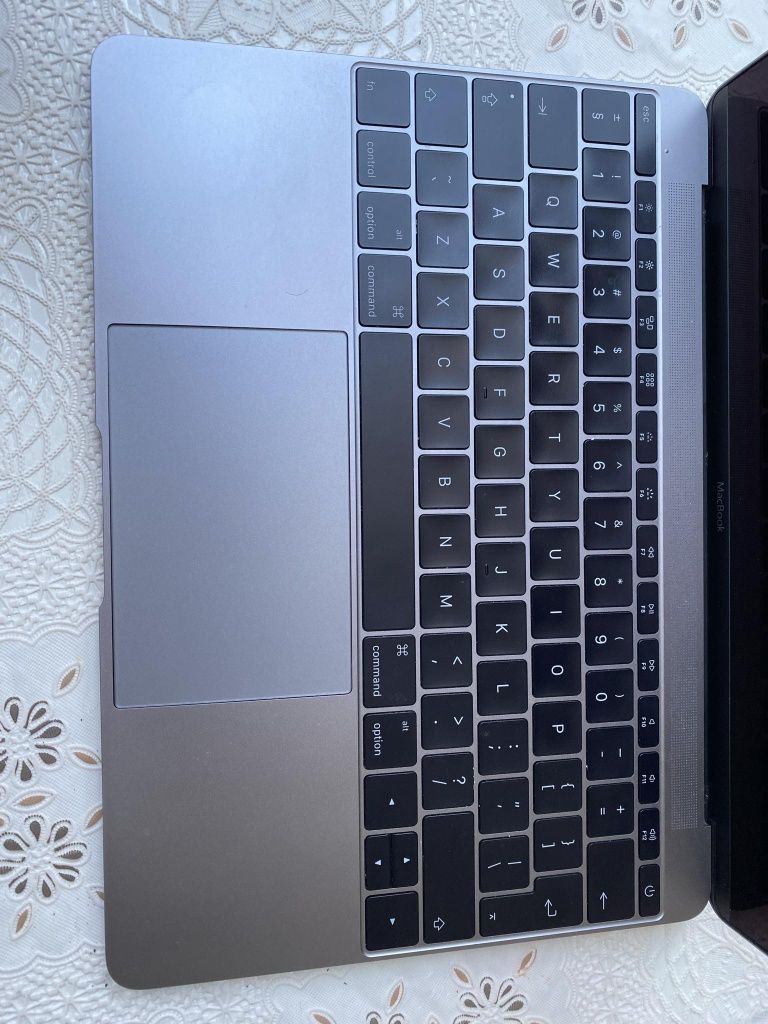 MacBook (Retina, 12-inch Early 2016)