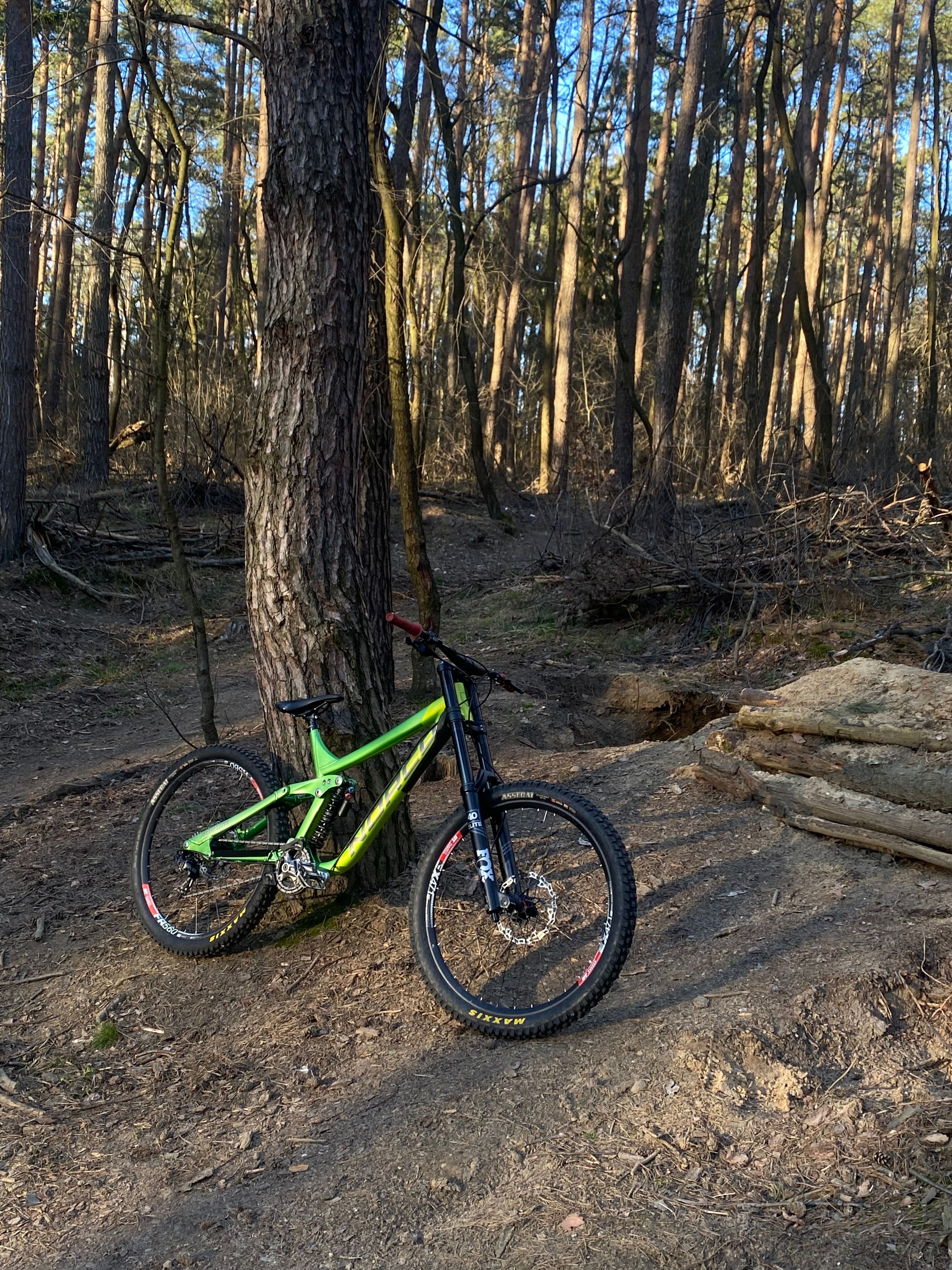Norco aurum 2018