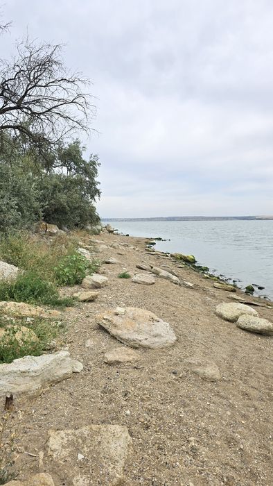 Алтестово  Участок 4 сотки с кадастровым / Возможна продажа соседнего