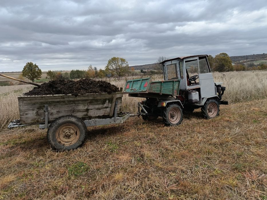 Продається Прикарпатець.