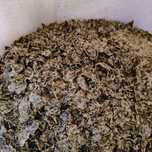 Makuchy z dyni 5kg