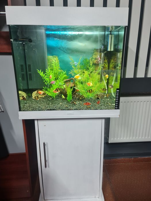 Аквариум JUWEL-120 л, філтьр, нагрівач, кисень( з рибками