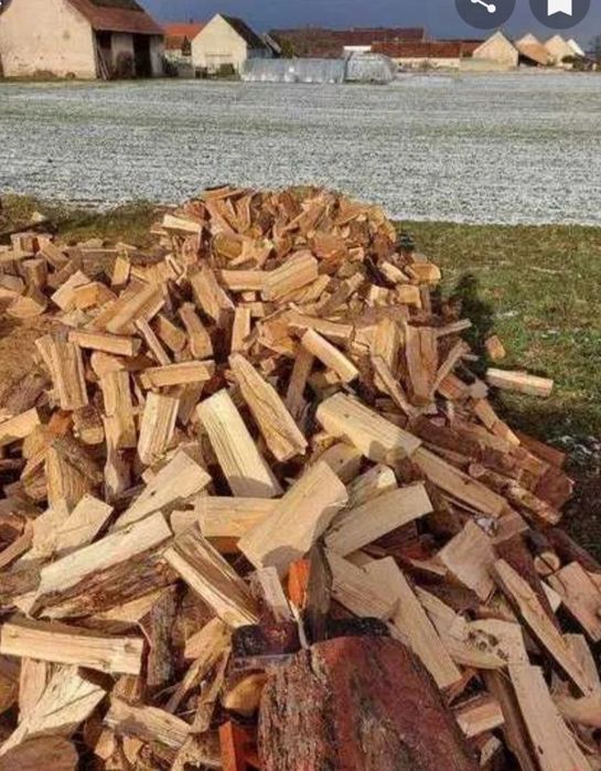 Drewno opałowe-200 -250 zł.