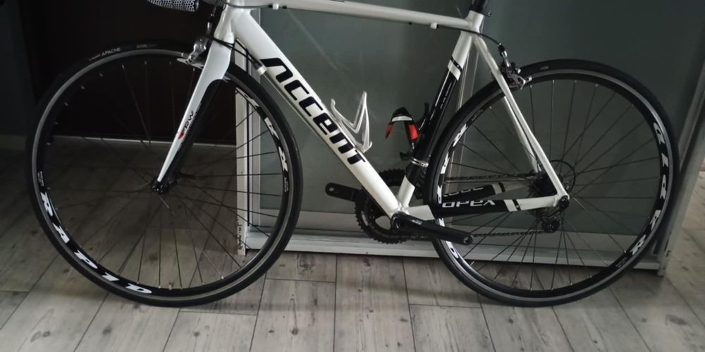 Rower szosowy accent Apex ML 55 56