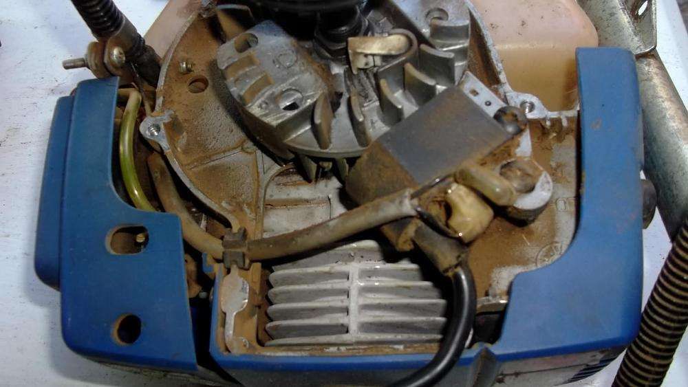 Motor de roçadora Einhell Royal MSB32 baixou desocupar