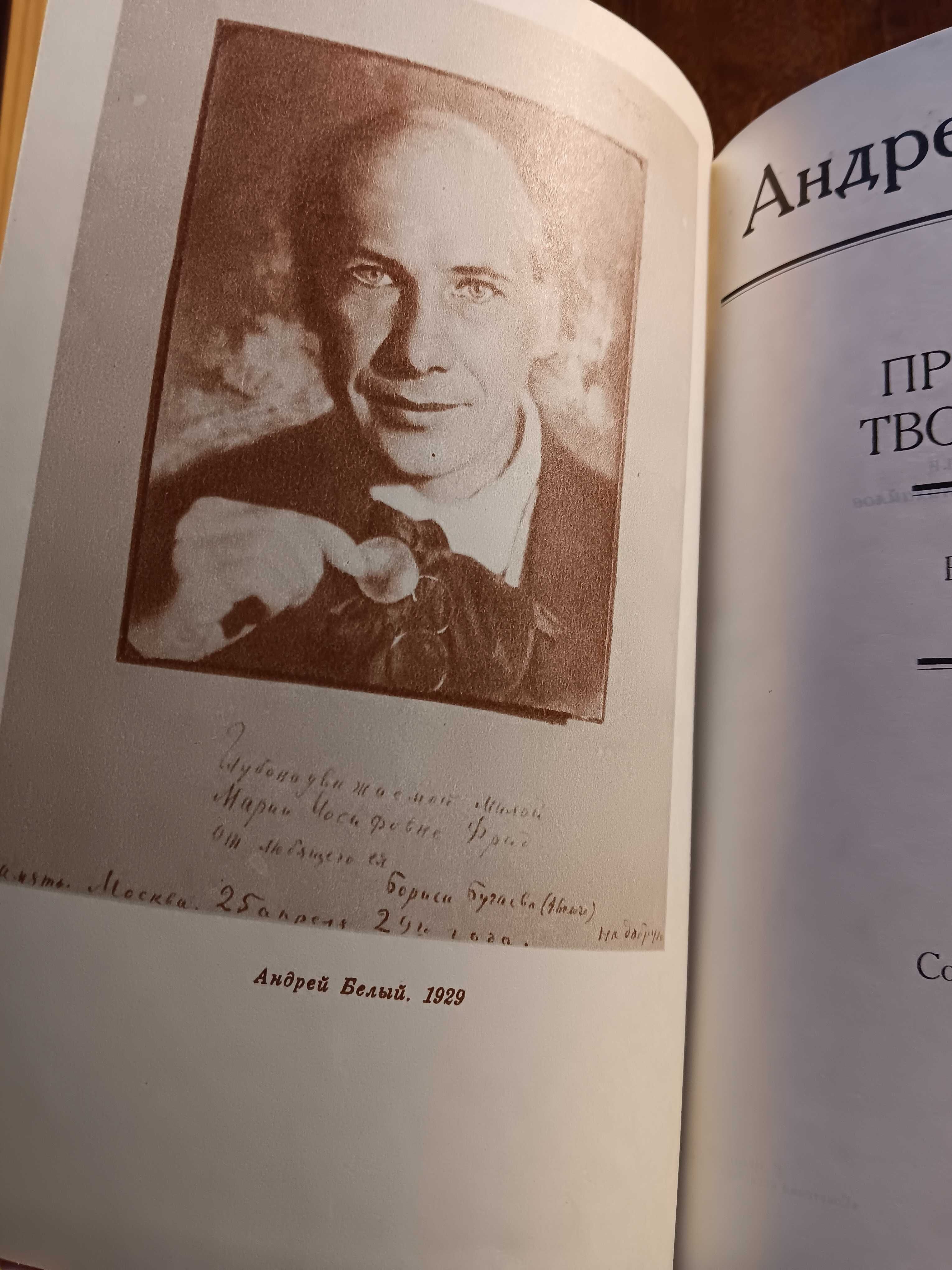 Саша Чёрный Андрей Белый Мелкий бес Андрей Белый Петербург Долгополов